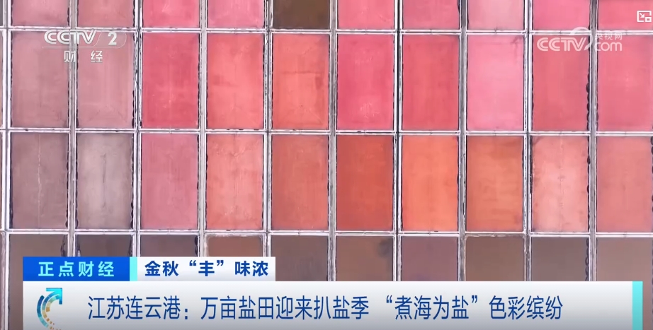 丰”景 中国多地喜迎“丰收季”OG真人游戏金秋时节处处好“(图1)